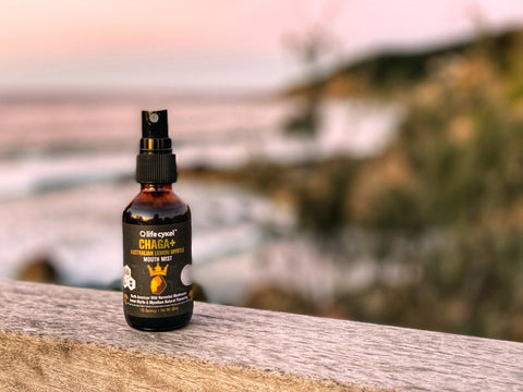 Wellness, Health & Beauty Benefits of Chaga Mushrooms