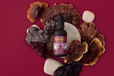 Reishi Mushroom Liquid Extract
