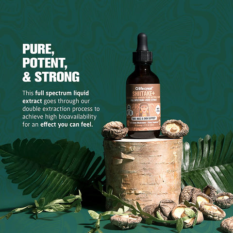 Shiitake Mushroom Liquid Extract