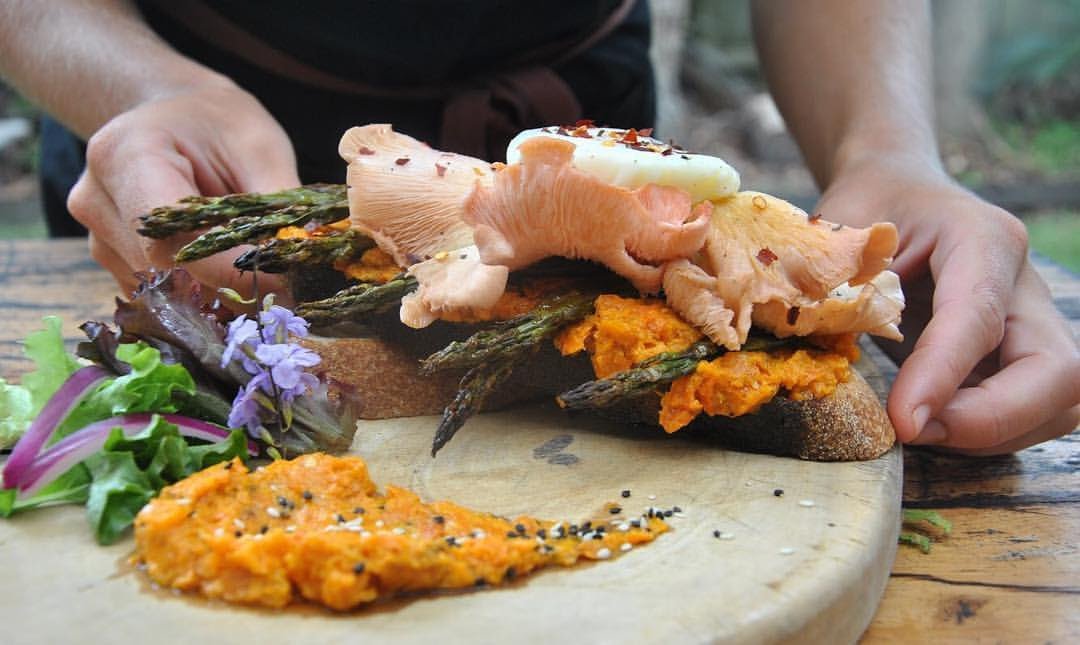 PINK MUSHROOM BRUSCHETTA w/ homemade carrot mayonnaise