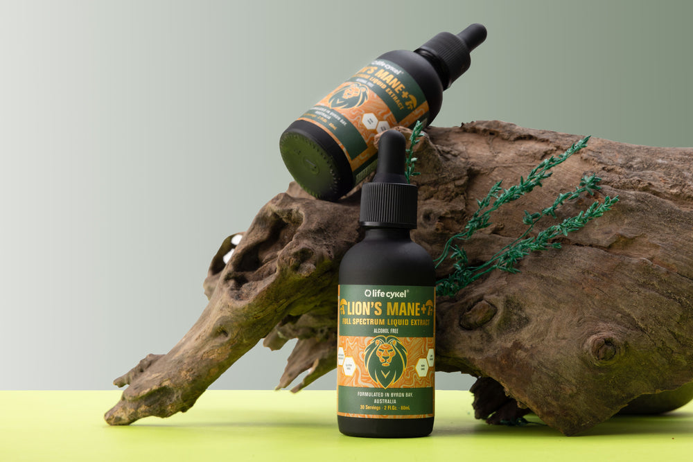 Lion's Mane Mushroom Liquid Extract