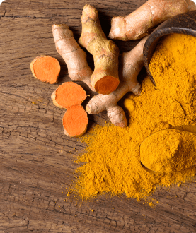 Turmeric Extract (rhizome)