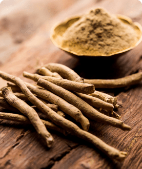 Ashwagandha Extract (root)