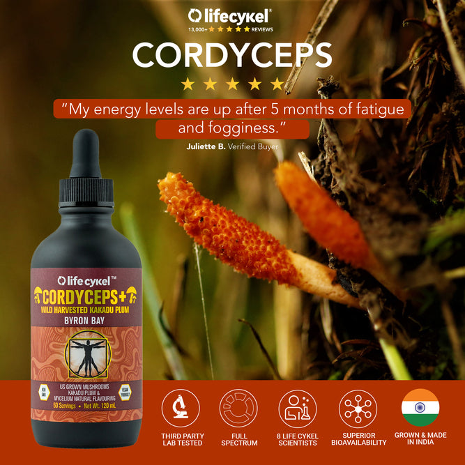 Cordyceps Mushroom Extract